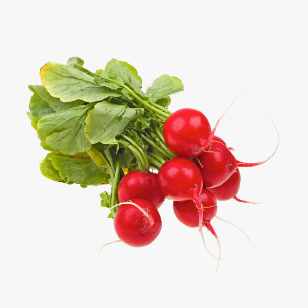 100% Orgamoc Carrot - Image 6
