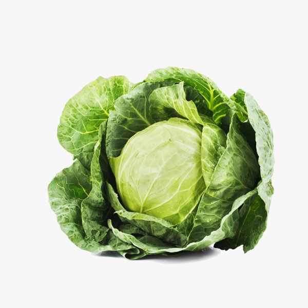 100% Orgamoc Carrot - Image 5