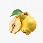 Organic D'Anjou Pears