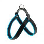 Collars for cats