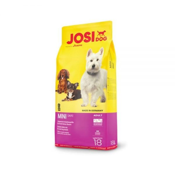 Food only for Poodle Dog - Image 3