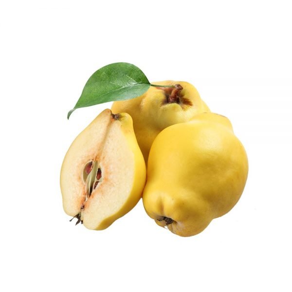 Pure Beet Root Extract - Image 4