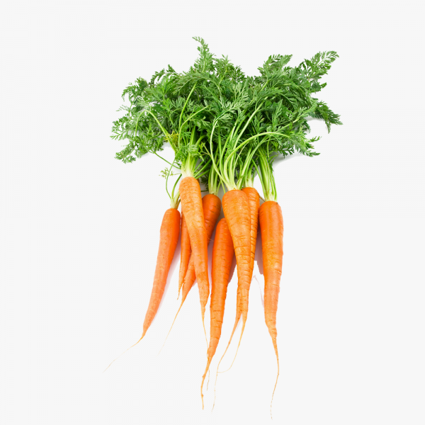 100% Orgamoc Carrot