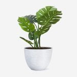 Round Flower White Pot