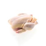 Raw Chicken Meat  Frozen