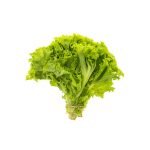 Organic Silk Lettuce