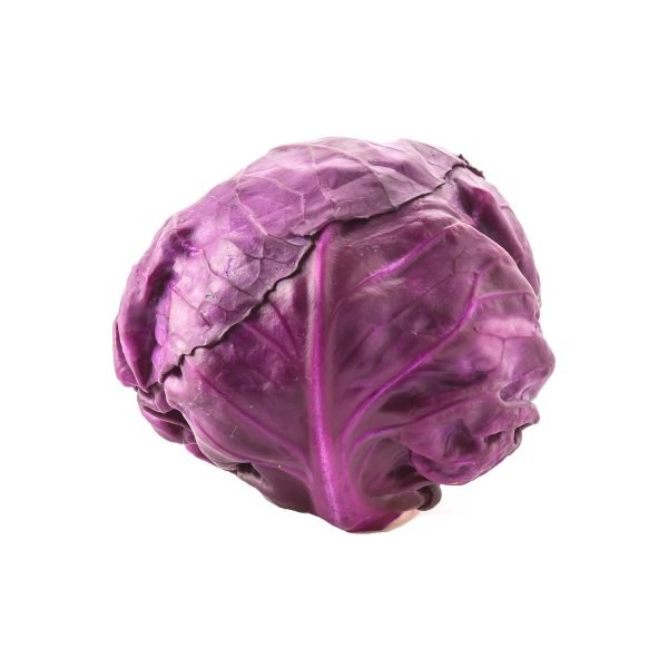 Radicchio Seeds Hybrid